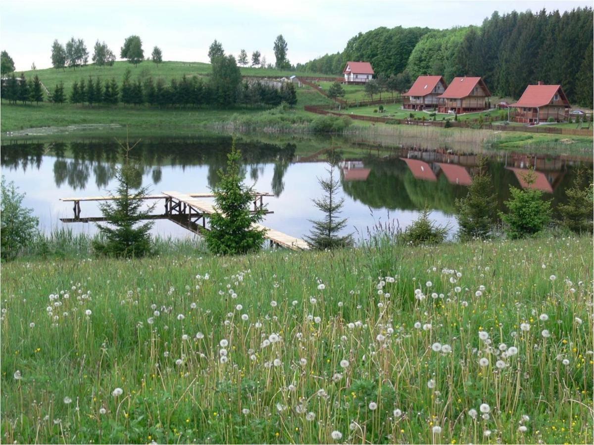 Zlota Lesniczowka Villa Rydzowka Dış mekan fotoğraf