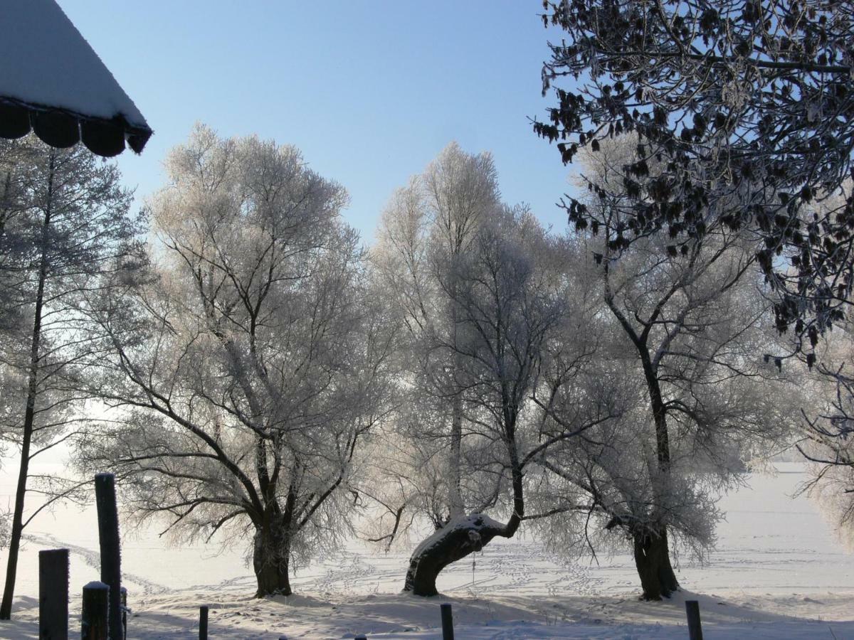 Zlota Lesniczowka Villa Rydzowka Dış mekan fotoğraf